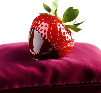 Illustration provocative