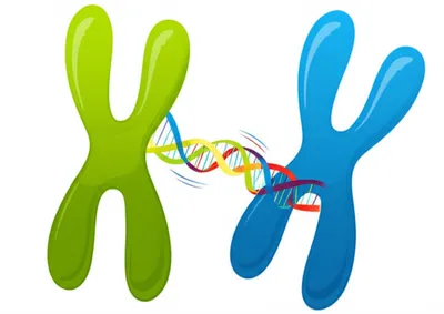 Illustration mobilization - Image 1