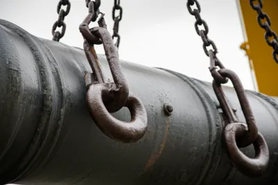 Illustration dolphins - Image 1