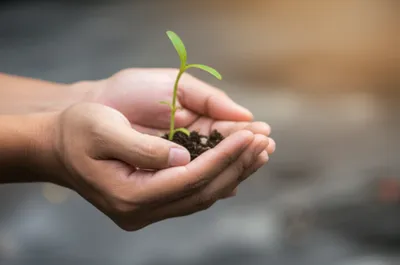 Illustration comply - Image 1