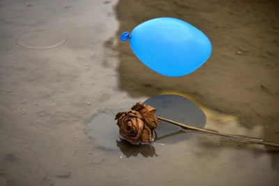 Illustration biting - Image 1