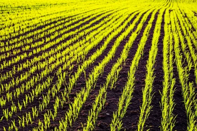 Illustration engender - Image 1