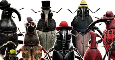 Illustration snouts - Image 1