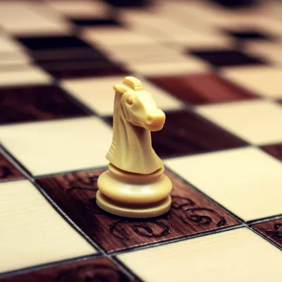 Illustration houses - Image 1