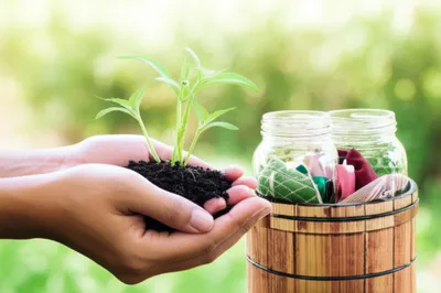 Illustration economy - Image 1