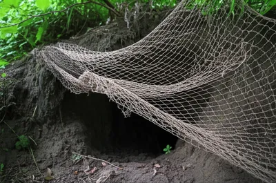 Illustration hay - Image 1