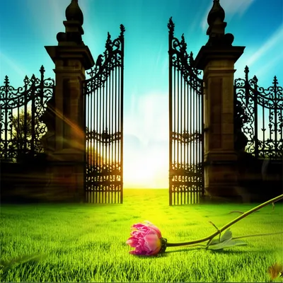 Illustration precluding