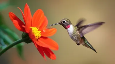 Illustration shaking - Image 1