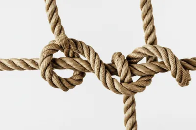 Illustration hitches - Image 1