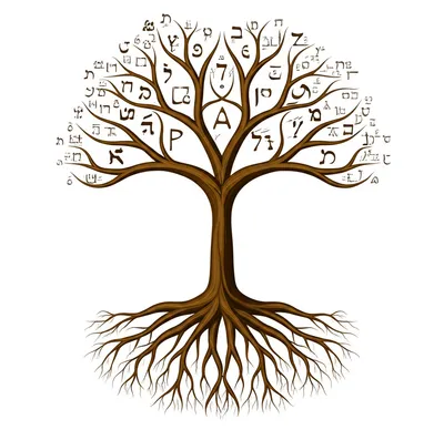 Hình ảnh minh họa aleph - Ảnh 1