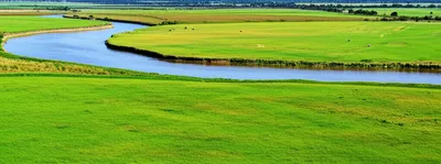 Illustration bottomland - Image 1