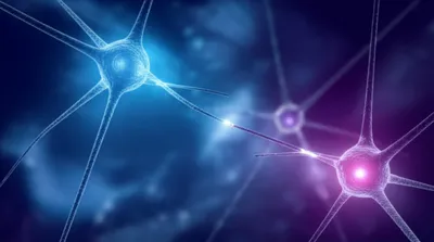 Illustration synapses - Image 1