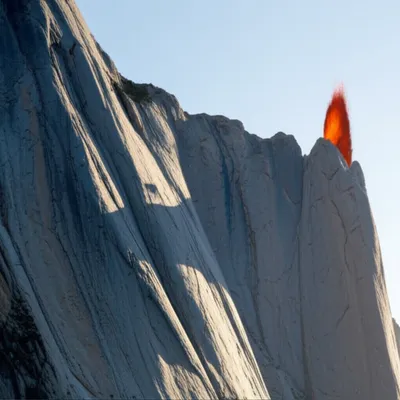 Hình ảnh minh họa sp - Ảnh 1