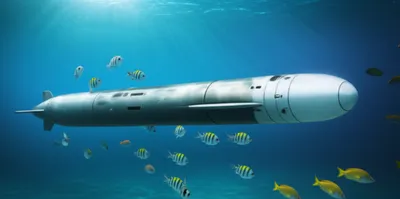 Illustration fishes - Image 1