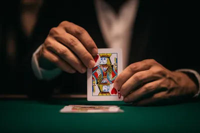 Illustration nibs - Image 1