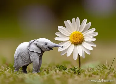 Illustration dwarves - Image 1