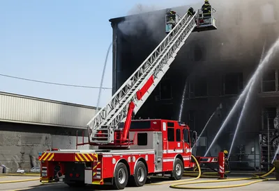 Illustration quint - Image 1