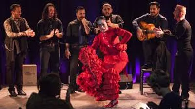 Illustration flamenco - Image 2