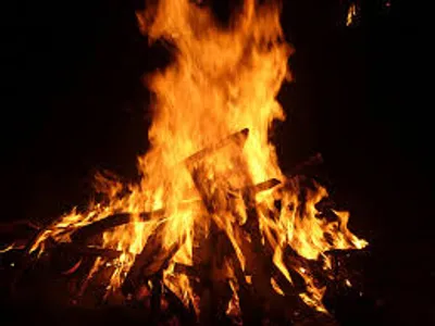 Illustration flicker - Image 2