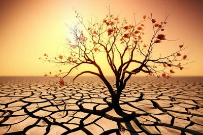 Illustration expends - Image 1