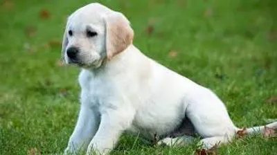 Illustration lab - Image 2