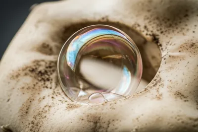 Illustration bulla - Image 1