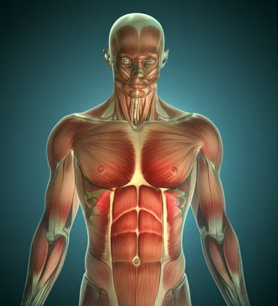 Illustration dissected - Image 1