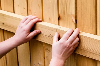 Illustration closes - Image 1