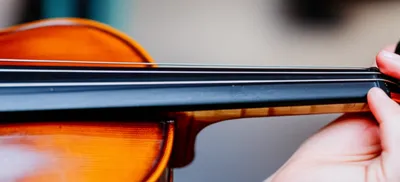 Hình ảnh minh họa open - Ảnh 1