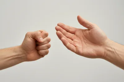 Illustration doubled - Image 1