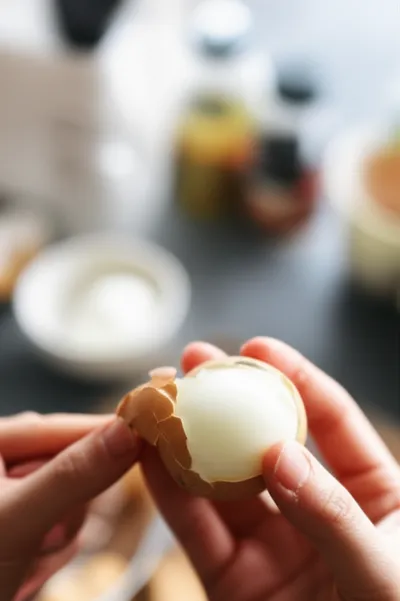 Illustration shells - Image 1