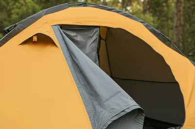 Illustration flys - Image 1