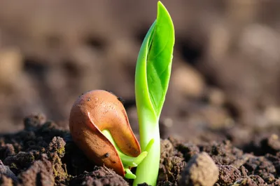 Illustration quickened - Image 1