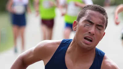 Illustration shelled - Image 1