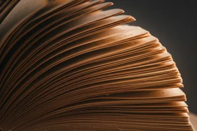 Illustration p - Image 1