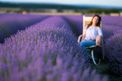 Illustration hypnotic - Image 1