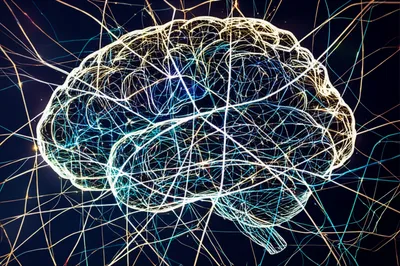 Illustration frays - Image 1