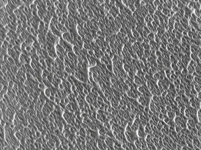 Illustration tooth - Image 1