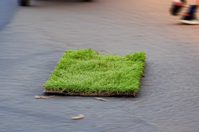 Illustration sops - Image 1