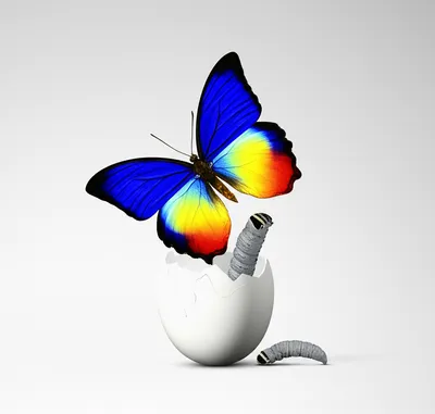 Illustration innovate