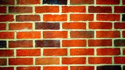 Illustration wall - Image 2