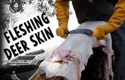 Illustration flesh - Image 4