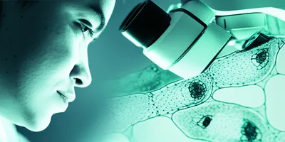 Illustration scans - Image 1