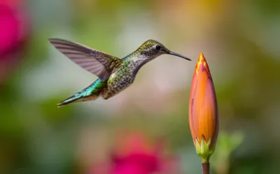 Illustration flicker - Image 1