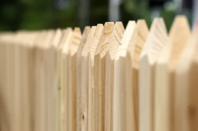 Illustration paling - Image 1