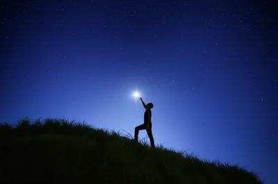 Illustration goes - Image 1