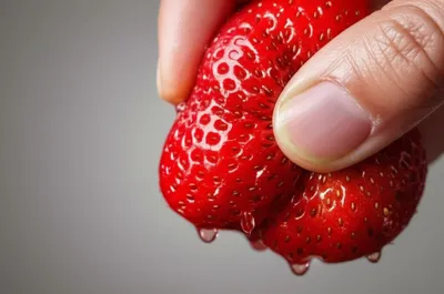 Illustration squish - Image 1