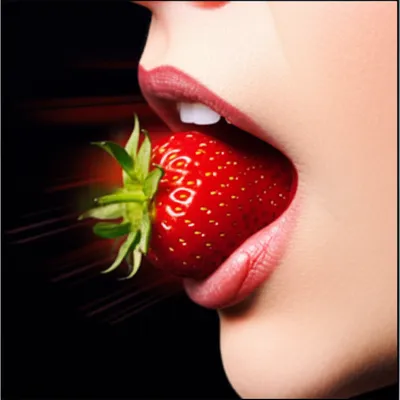 Illustration swallow - Image 1