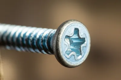 Illustration worms - Image 1