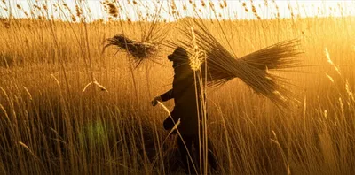 Illustration rusher - Image 1